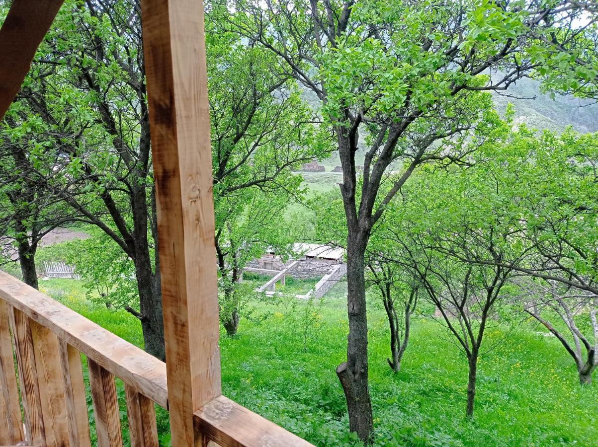 Mesxta 호텔 Nakalakevi 외부 사진