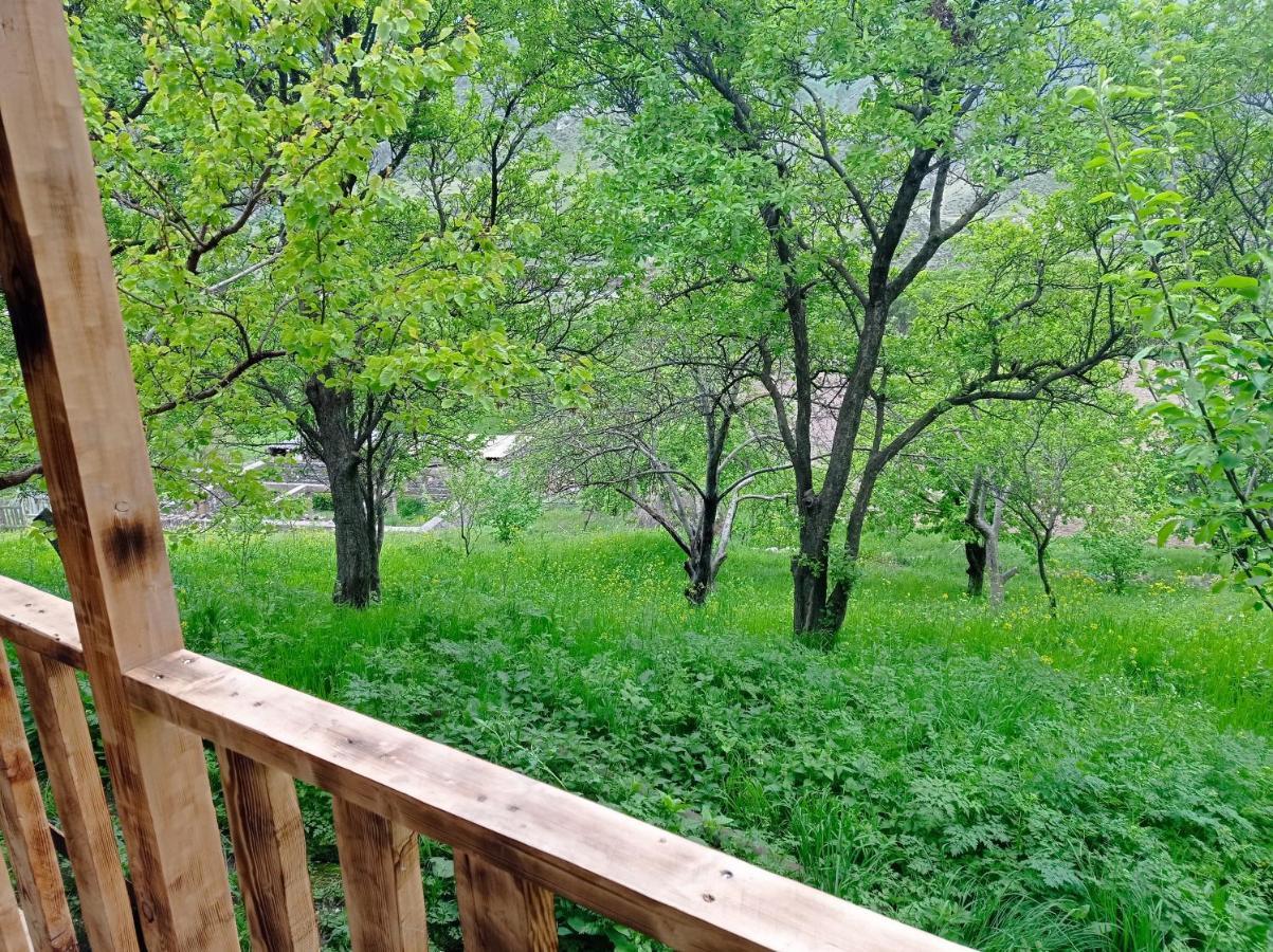 Mesxta 호텔 Nakalakevi 외부 사진