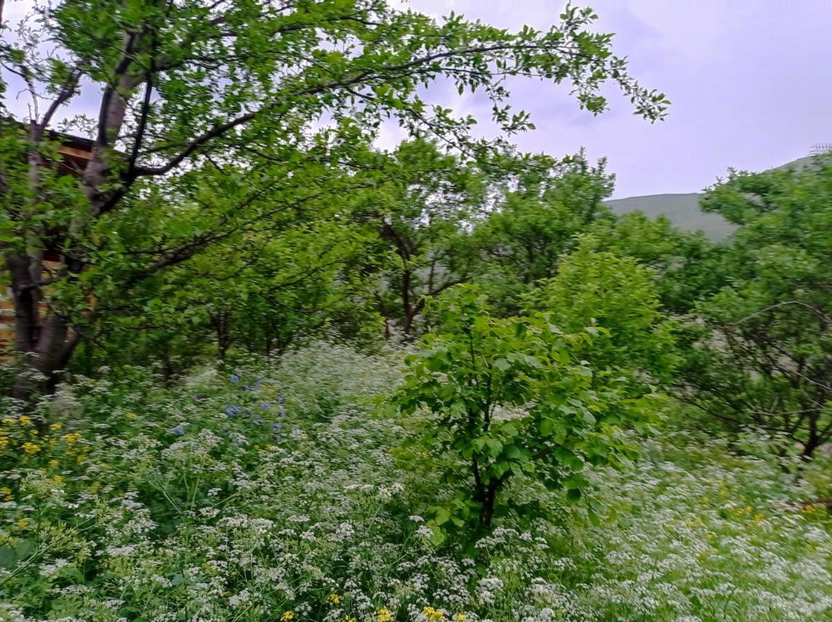 Mesxta 호텔 Nakalakevi 외부 사진